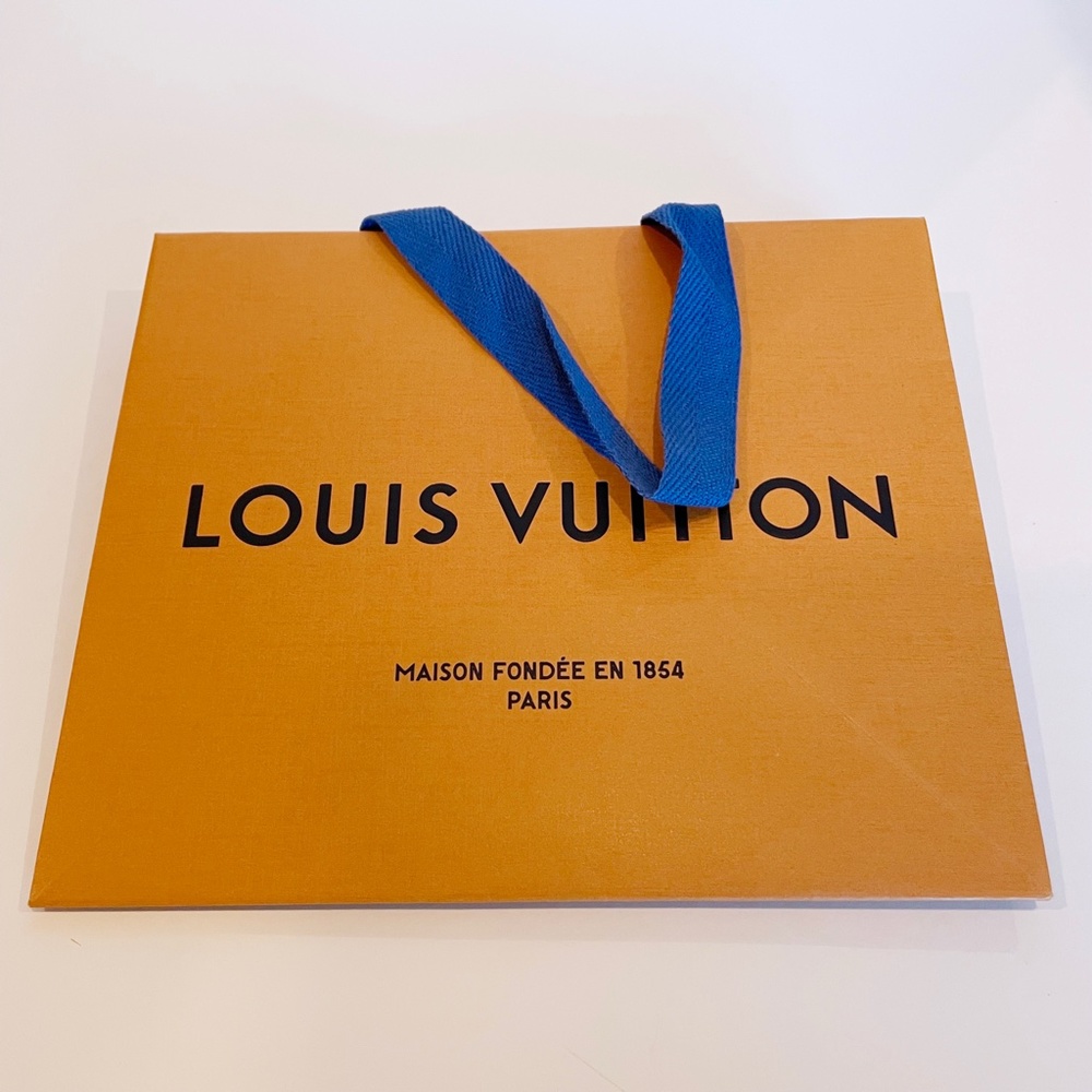 Louis Vuitton Small Paper Shopping Bag (EMPTY) - Picture 7 of 7
